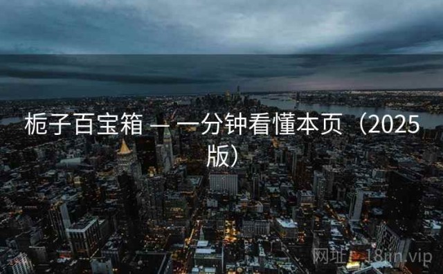 栀子百宝箱 — 一分钟看懂本页（2025版）