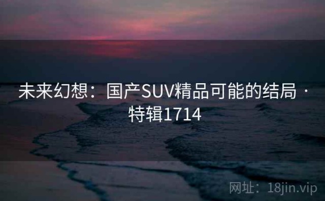 未来幻想：国产SUV精品可能的结局 · 特辑1714
