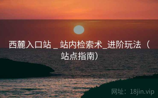 西麓入口站 _ 站内检索术_进阶玩法（站点指南）