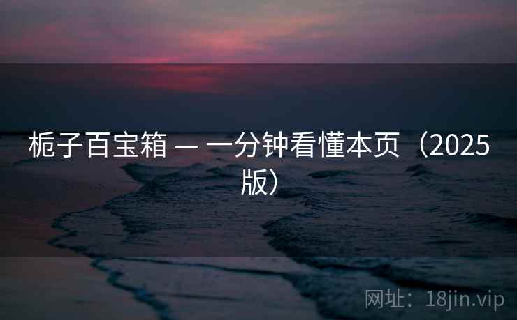 栀子百宝箱 — 一分钟看懂本页（2025版）