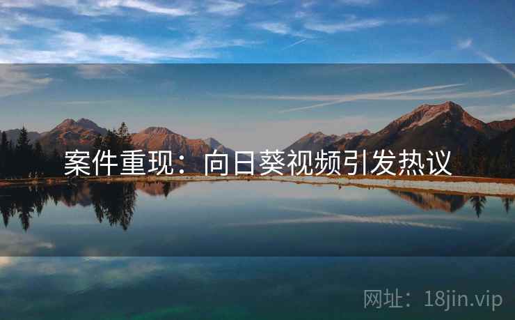 案件重现：向日葵视频引发热议