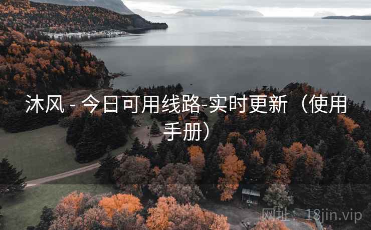 沐风 - 今日可用线路-实时更新（使用手册）