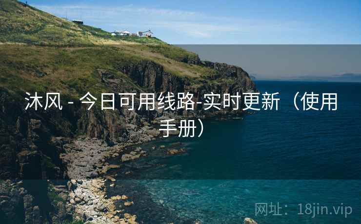 沐风 - 今日可用线路-实时更新（使用手册）