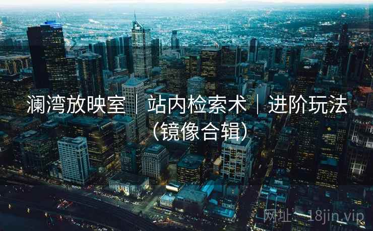 澜湾放映室｜站内检索术｜进阶玩法（镜像合辑）