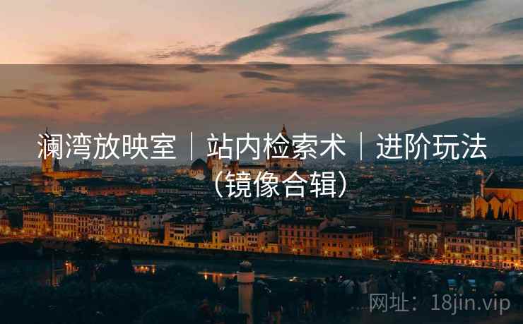澜湾放映室｜站内检索术｜进阶玩法（镜像合辑）