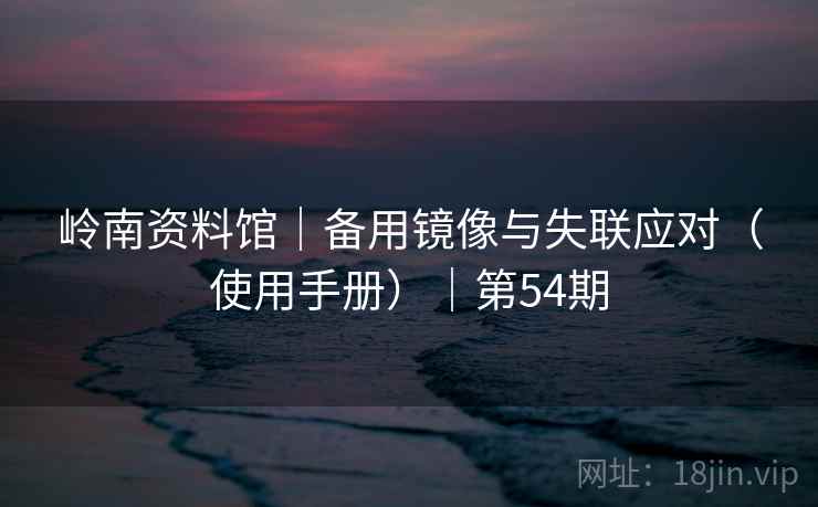 岭南资料馆｜备用镜像与失联应对（使用手册）｜第54期