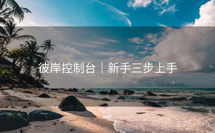 彼岸控制台｜新手三步上手