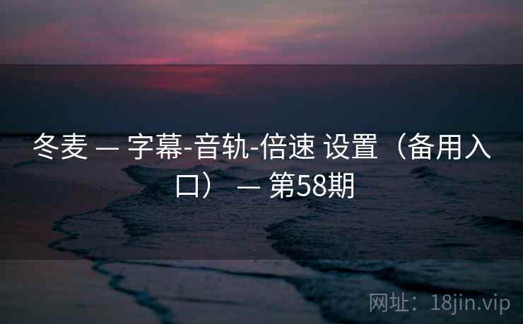 冬麦 — 字幕-音轨-倍速 设置（备用入口） — 第58期