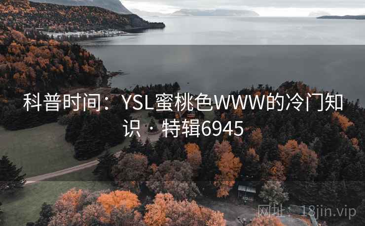 科普时间：YSL蜜桃色WWW的冷门知识 · 特辑6945
